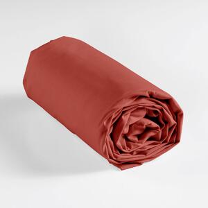 Σεντόνι Υπέρδιπλο Με Λάστιχο (160x200+30) L-C Lina Terracotta