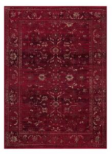 Χαλί Διαδρόμου (66x140) Ezzo Antika 6299AHH Burgundy