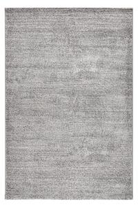 Χαλί (200x290) Polcarpet Cornelia Berlin 225B Grey Mix