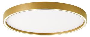 Φωτιστικό Πλαφονιέρα Led Viokef Vanessa Gold 4292801