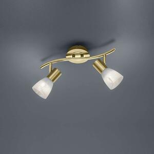 Φωτιστικό Οροφής-Σποτ Led Levisto 2x400Lm 33x19x10cm Brass Mat 871010208 Trio Lighting