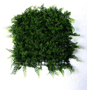 Φύλλωμα Πάνελ 50x50cm Adiantum Capillus - Spacegreen