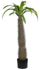 Τεχνητό Δέντρο Pachypodium Lamerei Palm Tree 20129 Φ60x100cm Brown-Green GloboStar