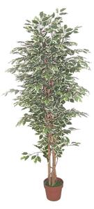 Τεχνητό Φυτό Σε Γλάστρα Ficus 022408 H170cm Green