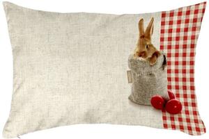 Μαξιλάρι Easter Cushion 04 Με Red-Beige Γέμιση Saint Clair