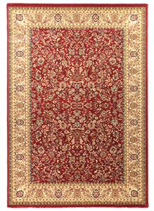 Χαλί (140x200) Royal Carpet Olympia 8595E Red