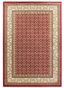 Χαλί (140x200) Royal Carpet Olympia 5238B Red