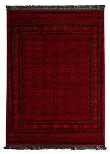 Χαλί (100x160) Royal Carpet Afgan 7454A D.Red