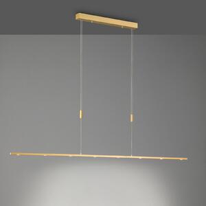 Quitani LED κρεμαστή λάμπα Tolu, μήκος 179 cm, ορείχαλκος, ρυθμιζόμενος, Χρυσό / Ορείχαλκου, Σαλόνι / τραπεζαρία, Μέταλλο, σύγχρονο