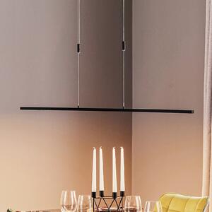 Quitani LED κρεμαστό φωτιστικό Tolu, μαύρο, μήκος 158 cm