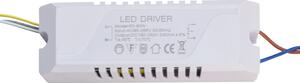 LED Driver SPHLL-DRIVER-001, 60-80W, 3x4x12cm