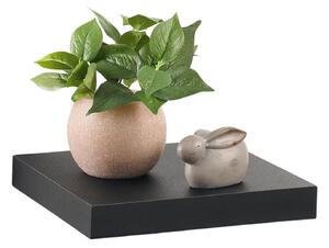 Ράφι Τοίχου Homea με διαστάσεις 25x22.8x3.4cm - Black