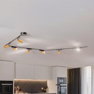 Lindby Lumaro track system, προβολείς, 7-light, χρυσό, Ø4cm,48V,dimmable, ρυθμιζόμενος, Μαύρο, Σαλόνι / τραπεζαρία, Αλουμίνιο, σύγχρονο