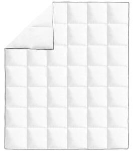 VidaXL Πάπλωμα Χειμερινό 200 x 220 εκ. Πουπουλένιο