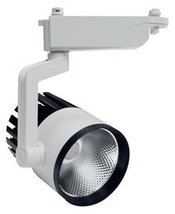 InLight Σποτ Ράγας Λευκό LED 30W 3000K D:10cmX23cm (T00101-WH)