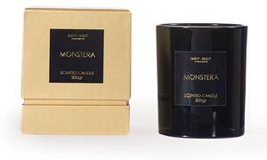 Αρωματικό Κερί Monstera 200gr - Nef-Nef Homeware