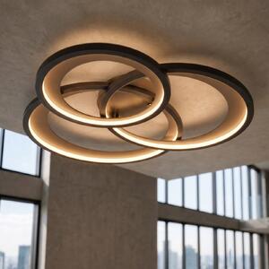 Trio Lighting Φωτιστικό οροφής Granada LED, μαύρο ματ/χρυσό, ρυθμιζόμενος, Μαύρο, Σαλόνι / τραπεζαρία, Μέταλλο, σύγχρονο