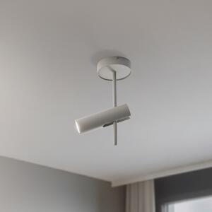 SIGMA Σποτ οροφής Leda 1, ταύπ, 1 φως, χάλυβας, GU10, ύψος 34 cm, ρυθμιζόμενος, Μπεζ, Σαλόνι / τραπεζαρία, Μέταλλο, σύγχρονο