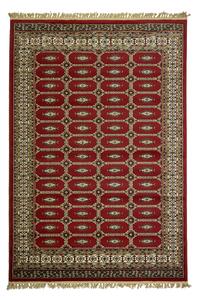 Χαλί (160x235) Βιοκαρπέτ Kirman 6831-1018 Red