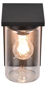 Φωτιστικό Επίτοιχο Trio Lighting ARDILA 211660132 Μαύρο Ματ (Black Mat)