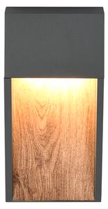 Φωτιστικό Επίτοιχο Trio Lighting SALMON 246960135 Απομίμηση Ξύλου (Wood Imitation) 3000K