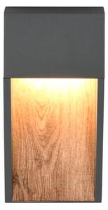 Φωτιστικό Επίτοιχο Trio Lighting SALMON 246960135 Απομίμηση Ξύλου (Wood Imitation) 3000K