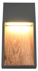Φωτιστικό Επίτοιχο Trio Lighting SALMON 246960135 Απομίμηση Ξύλου (Wood Imitation) 3000K
