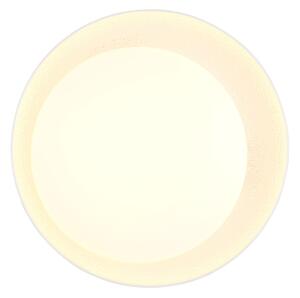 Φωτιστικό Οροφής Reality Lighting -RL ALETA R64611101 Λευκό (White) 2700 - 6500K