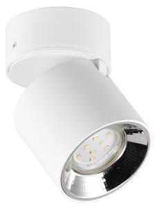 Φωτιστικό Οροφής Trio Lighting GUAYANA 651000131 Λευκό Ματ (White Mat)