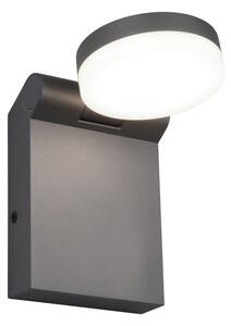 Φωτιστικό Επίτοιχο Trio Lighting ADOUR 245560142 Ανθρακί (Anthracite) 2300+3000+4000K