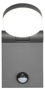 Φωτιστικό Επίτοιχο Trio Lighting ADOUR 245569142 Ανθρακί (Anthracite) 2300+3000+4000K