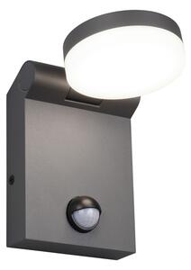 Φωτιστικό Επίτοιχο Trio Lighting ADOUR 245569142 Ανθρακί (Anthracite) 2300+3000+4000K