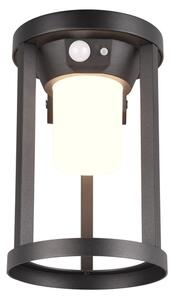 Φωτιστικό Επίτοιχο Trio Lighting CARMO 241069132 Μαύρο Ματ (Black Mat) 3000K