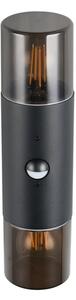Φωτιστικό Επίτοιχο Trio Lighting HOOSIC 222260232 Μαύρο Ματ (Black Mat)