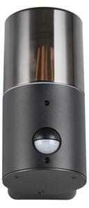 Φωτιστικό Επίτοιχο Trio Lighting HOOSIC 222260132 Μαύρο Ματ (Black Mat)