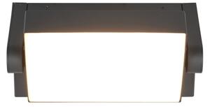 Φωτιστικό Επίτοιχο Trio Lighting KANSAS 246860142 Ανθρακί (Anthracite) 3000K