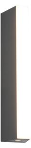 Φωτιστικό Επίτοιχο Trio Lighting MARNE 247360242 Ανθρακί (Anthracite) 3000K