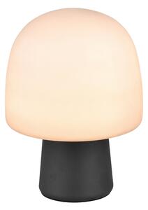 Φωτιστικό Επιτραπέζιο Trio Lighting STEEN 568200132 Μαύρο Ματ (Black Mat)