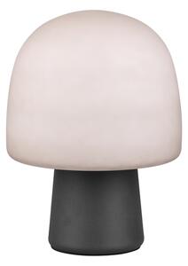 Φωτιστικό Επιτραπέζιο Trio Lighting STEEN 568200132 Μαύρο Ματ (Black Mat)