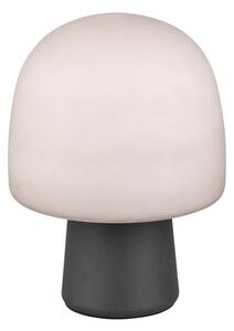 Φωτιστικό Επιτραπέζιο Trio Lighting STEEN 568200132 Μαύρο Ματ (Black Mat)