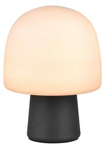 Φωτιστικό Επιτραπέζιο Trio Lighting STEEN 568200132 Μαύρο Ματ (Black Mat)