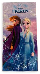 Παιδική Πετσέτα Θαλάσσης (70x140) Dimcol Frozen 22