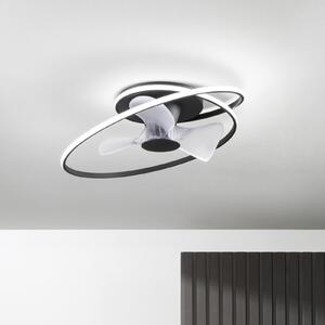 INTEC Ανεμιστήρας οροφής LED Storm, μαύρος/λευκός, Ø 77 cm CCT, αθόρυβος, ρυθμιζόμενος, Μαύρο, Σαλόνι / τραπεζαρία, Μέταλλο, σύγχρονο