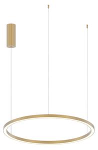 Luce Ambiente Design Κρεμαστό φωτιστικό LED Hoop, χρυσό, Ø 80 cm, μέταλλο, CCT, Χρυσό / Ορείχαλκου, Σαλόνι / τραπεζαρία, Αλουμίνιο, σύγχρονο