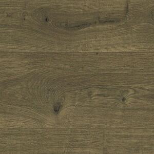 Δάπεδο Laminate Essentials 832 510031017 8mm Tundra Dark Oak Autumn