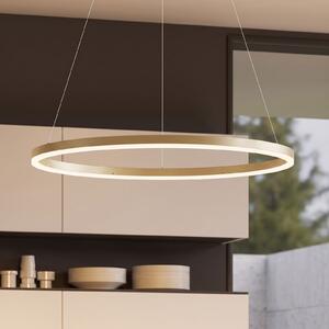 Arcchio Φωτιστικό οροφής LED Albiona, μπεζ, 1 δακτύλιος, Ø 80 cm, ρυθμιζόμενος, Μπεζ, Κουζίνα, Μέταλλο, σύγχρονο