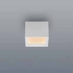PURE Φωτιστικό οροφής LED Manhatten, χρώμα snow, 1 λάμπα, CCT, ρυθμιζόμενος, Λευκό, Διάδρομος, Αλουμίνιο, σύγχρονο