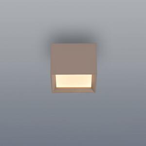 PURE Φωτιστικό οροφής LED Manhatten, χάλκινο, 1 λάμπα, CCT, ρυθμιζόμενος, Μπρούτζινο / Αντικέ ορείχαλκου, Διάδρομος, Αλουμίνιο, σύγχρονο