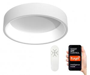 Immax NEO 07016L - Φωτιστικό οροφής Dimmable LED AGUJERO LED/30W/230V + RC