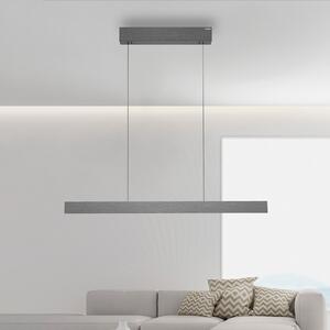 PURE Κρεμαστό φωτιστικό LED E-Motion, πλατίνα, CCT, ρυθμιζόμενος, Γκρι, Σαλόνι / τραπεζαρία, Μέταλλο, σύγχρονο